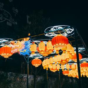 Dragon Festival Lantern In Paris