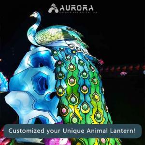 Chinese Lantern Show 